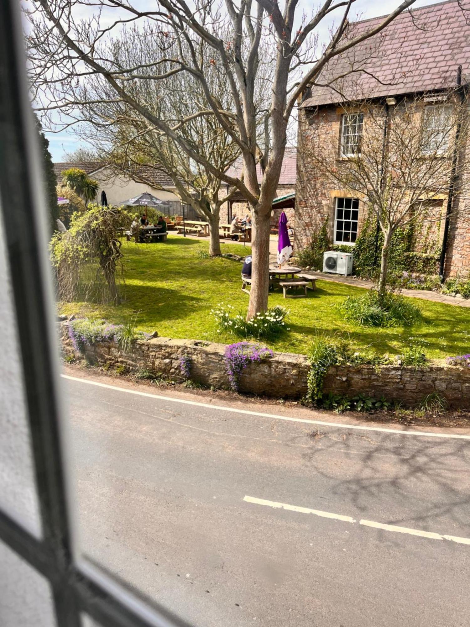 The Snuggery Cottage Taunton Kültér fotó